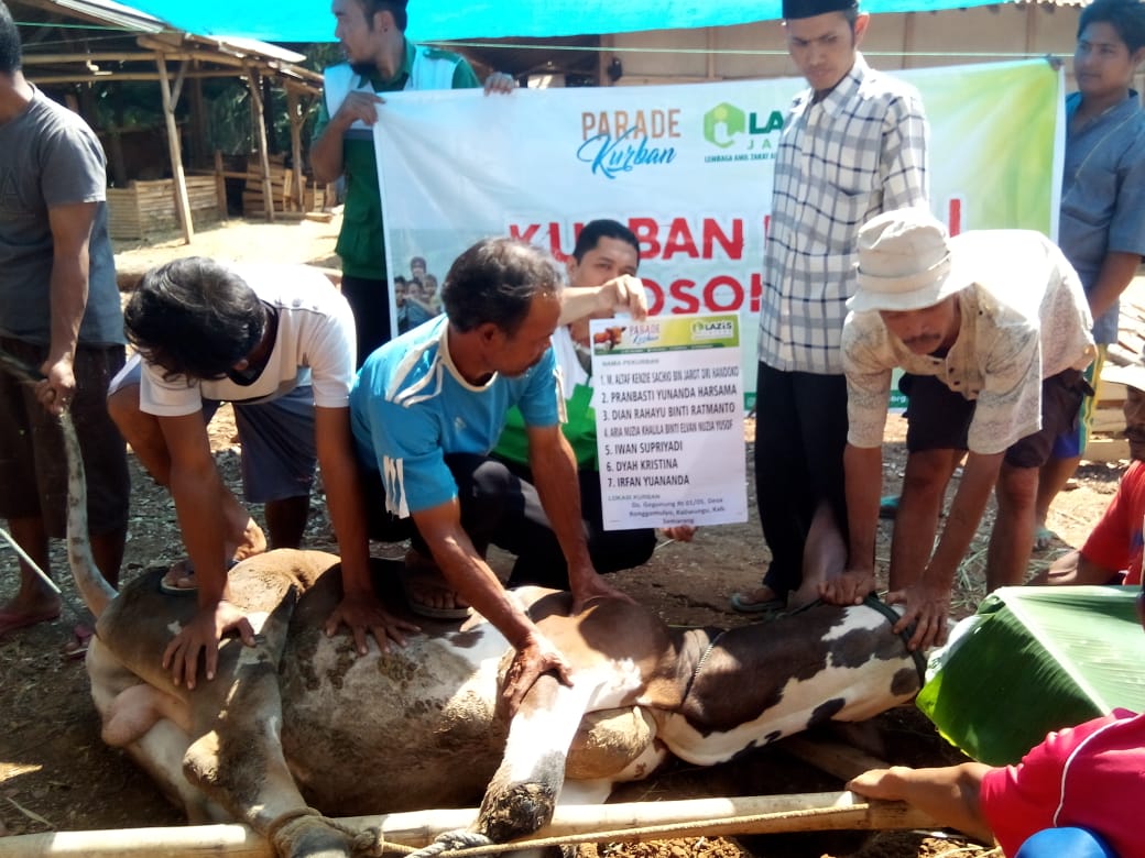 Qurban atau Sedekah, Mana yang Didahulukan?