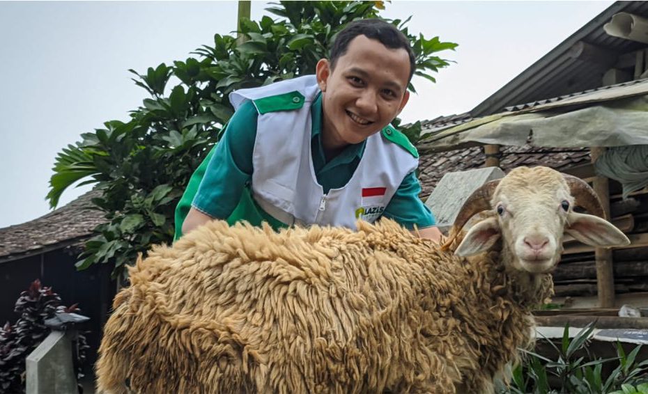 Catat! Harga Terkini Hewan Qurban Jelang Idul Adha 2023
