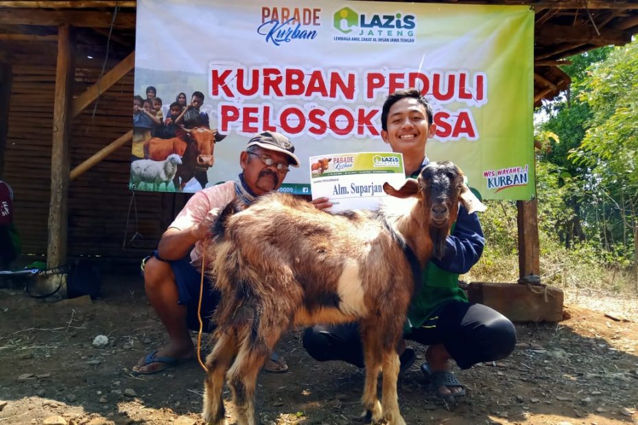 Rukun dan Tata Cara Menyembelih Hewan Qurban
